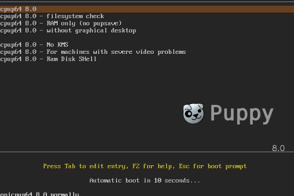 Tela inicial do puppy linux