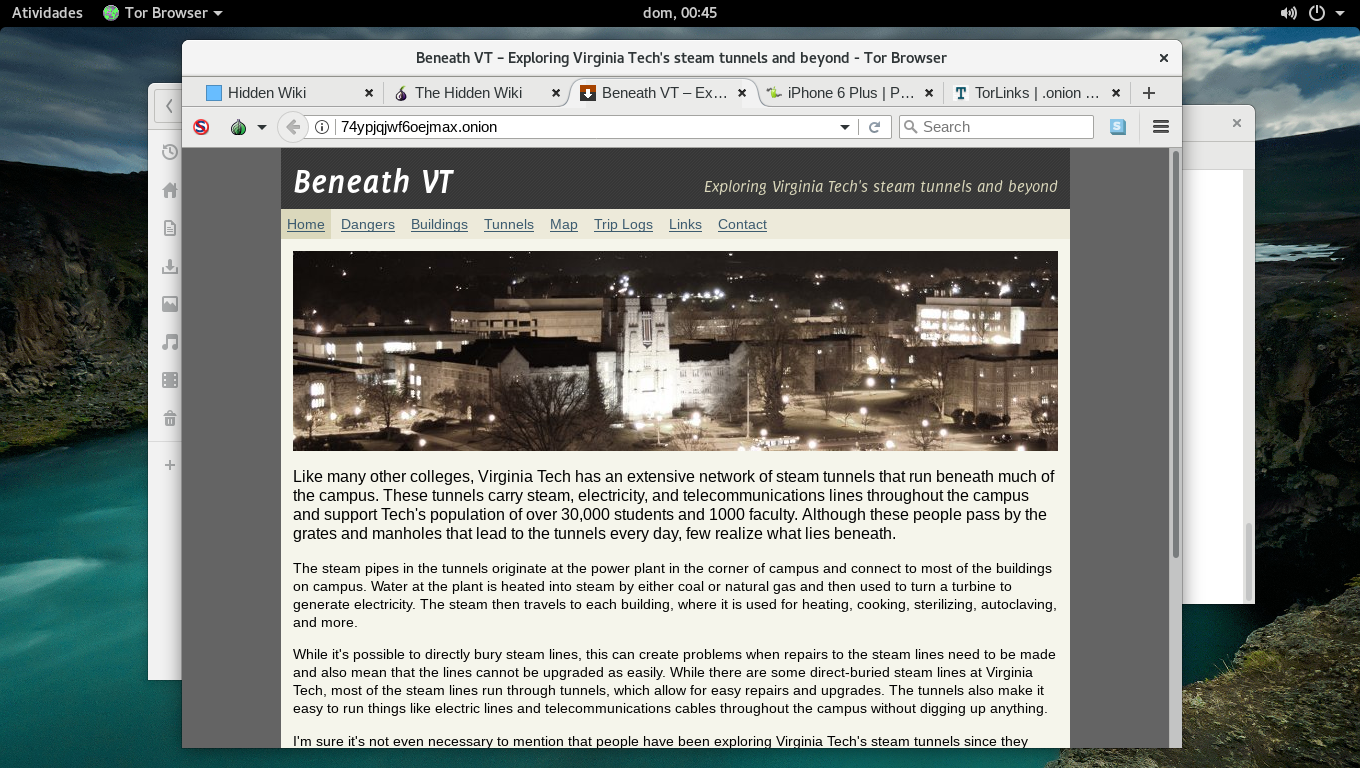 site mostrando a cidade de Virginea