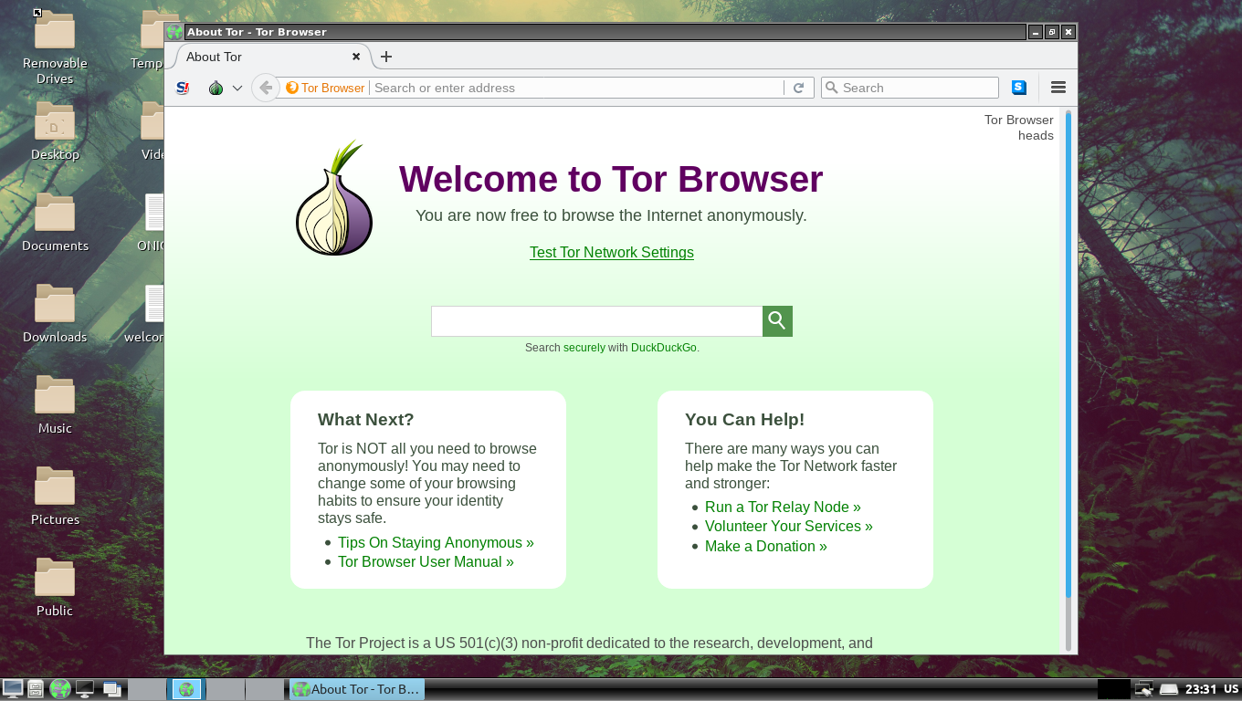navegador tor no heads linux